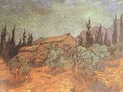 Vincent Van Gogh, Wooden Sheds (nn04)